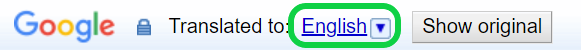 Google Translate 2.png